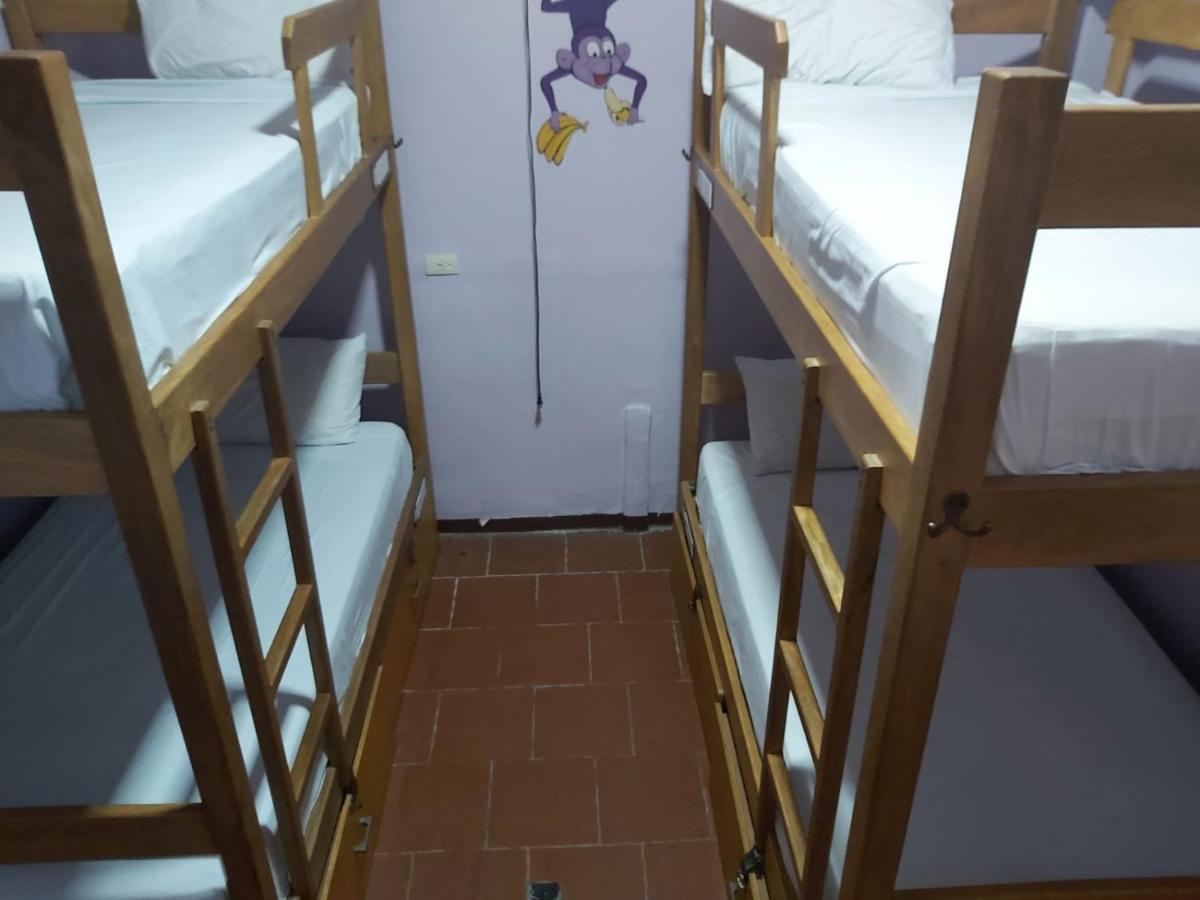 Hostel Purple Monkey *