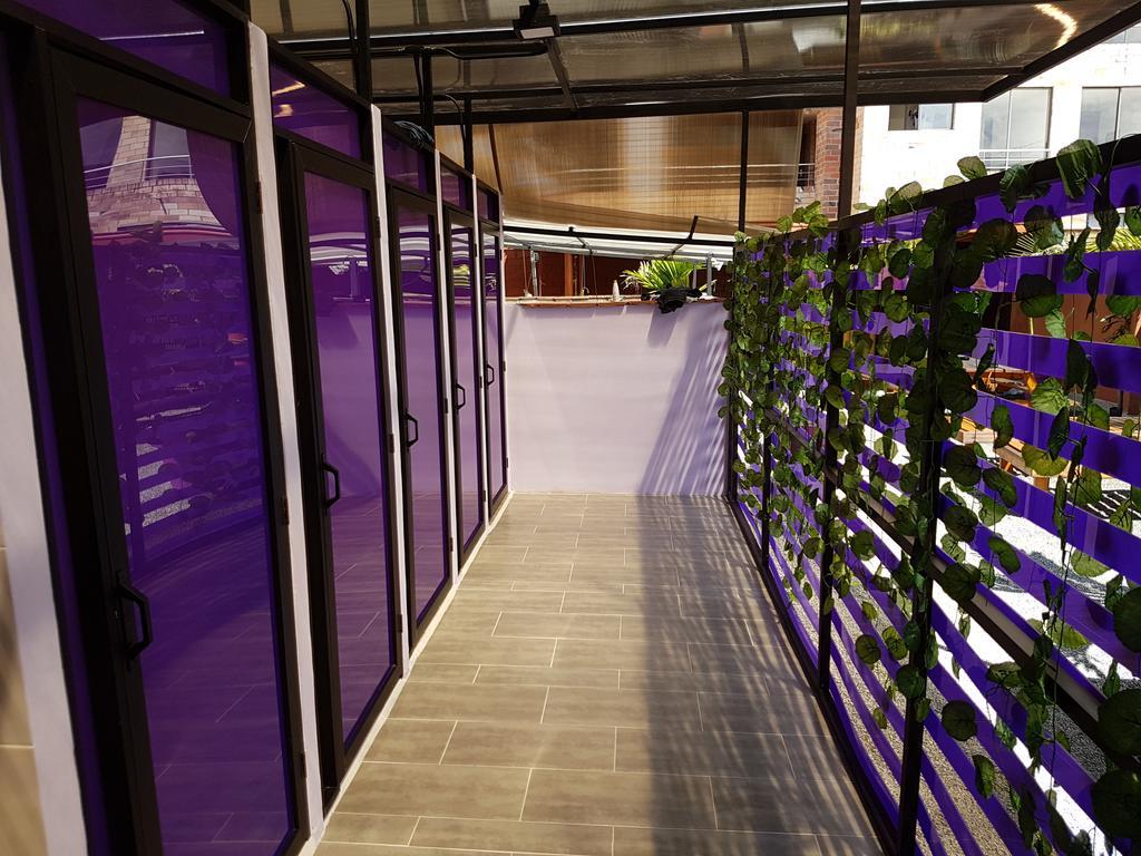 Hostel Purple Monkey *