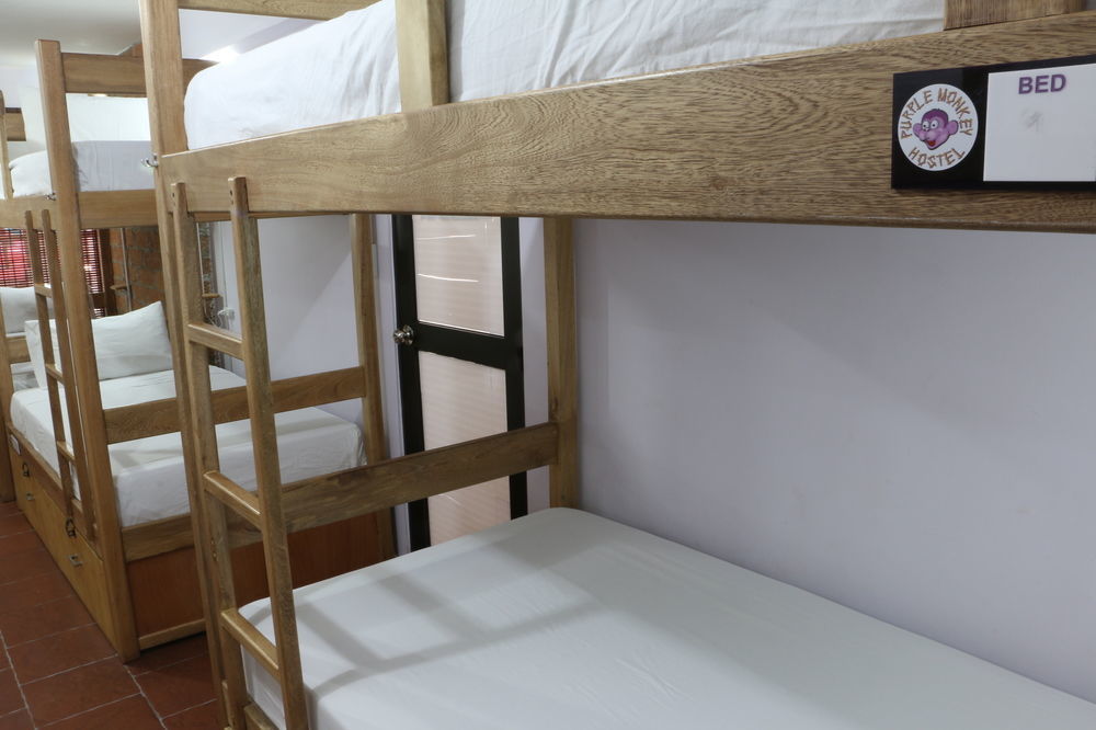Purple Monkey Hostel Medellin